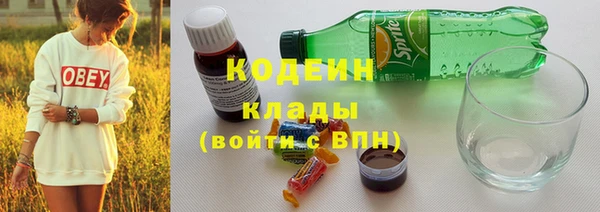 скорость Вяземский